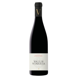 Vallis vinaria