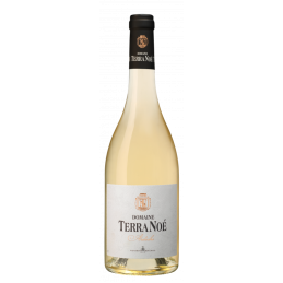 Terra Noé Blanc